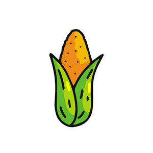 玉米卡通图标与笔触. 玉米芯矢量插图儿童书籍.游戏艺术照片