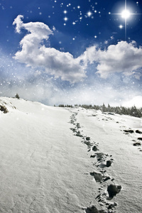 山上的雪路径