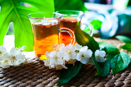 茉莉花茶。两杯茶在自然背景下的绿叶与茉莉花