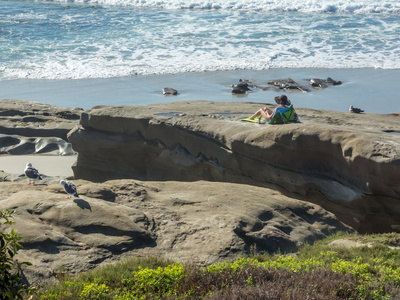 La jolla 的沙滩上漫步