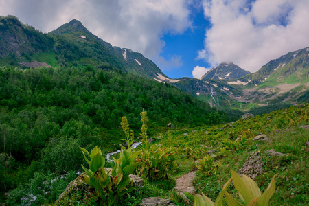 穿越阿基索山的迷人旅程