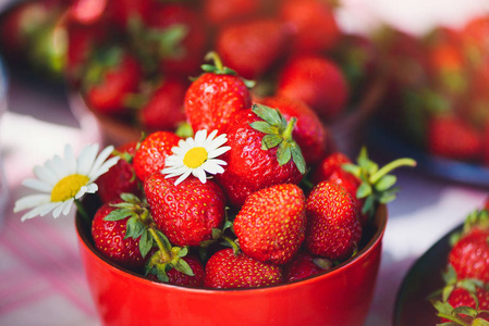 一个新鲜的草莓在一个碗在一个夏季花园的桌子上装饰着菊花花与低关键阶段。健康饮食和新鲜度