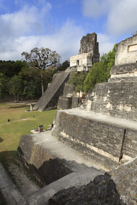 在蒂卡尔，危地马拉的玛雅金字塔