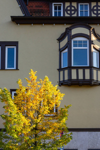 德国南部城市建筑外墙上的秋色树和树叶