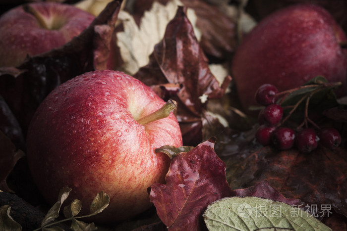叶子掉落的苹果