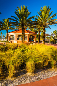 棕榈树和亭在克利尔沃特海滩，佛罗里达州
