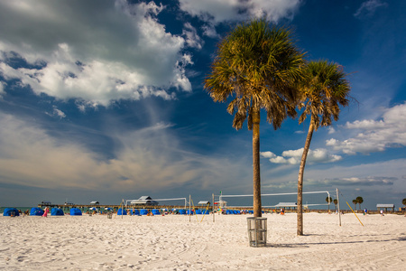 在佛罗里达州克利尔沃特海滩，海滩上的棕榈树
