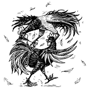 斗鸡或 gamecocks.农场上的鸟运动.手绘雕刻素描.复古风格的宠物.