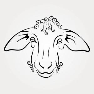 绵羊头被隔离在白色背景。矢量插图