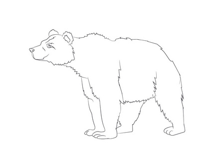 站立的熊简笔画图片