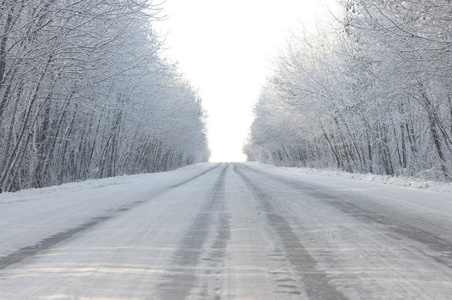 路和白霜冬季树上图片