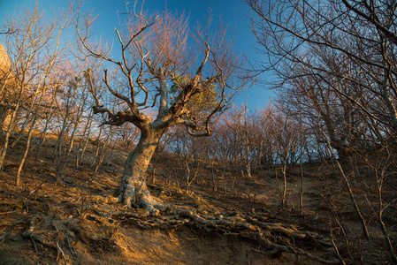 Demerdzhi 山脉, 克里米亚共和国