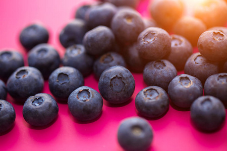 特写的成熟蓝莓在粉红色背景在阳光下,宏观照片