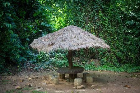 在丛林里的茅草屋顶露台图片