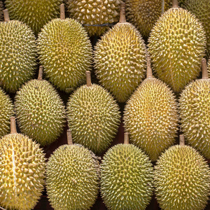 亚洲水果之王照片