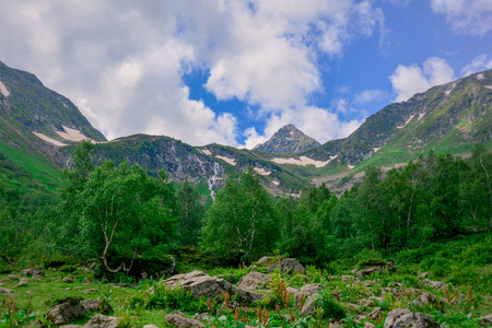 穿越阿基索山的迷人旅程