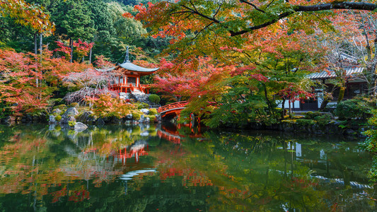 早期的秋天，在日本京都醐寺