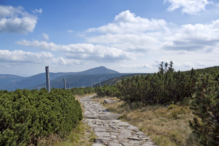 karkonosze 的山路