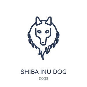 shiba inu 狗图标。shiba inu 狗线性符号设计从狗收藏。简单的大纲元素向量例证在白色背景