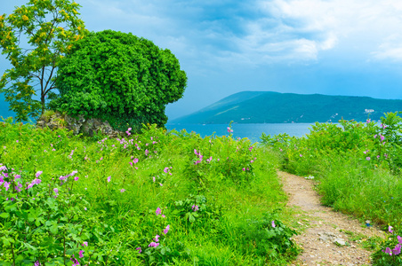 小小的草地上