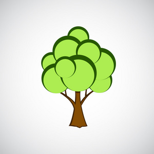 温带落叶阔叶林图片