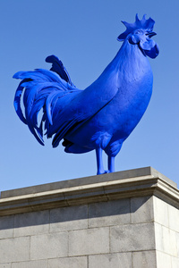 在特拉法加广场的蓝色公鸡
