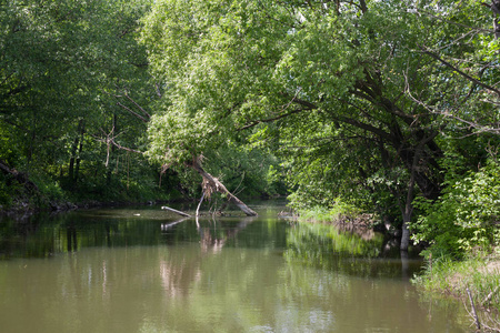 欧洲俄国风景。河, 树在岸边。2018年5月