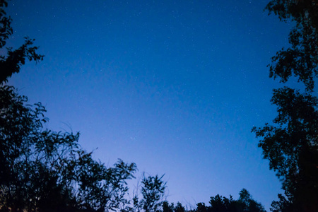 夕阳和黑夜, 在森林中的黑暗的蓝天与明亮的星星作为空间背景