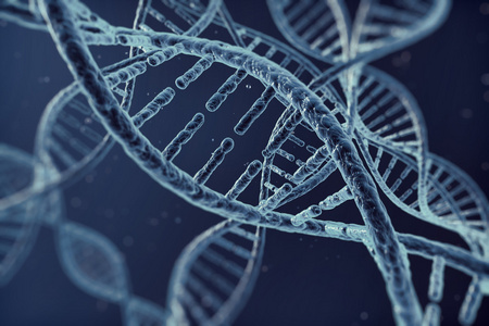 细胞插画数码插画 dna 细胞照片