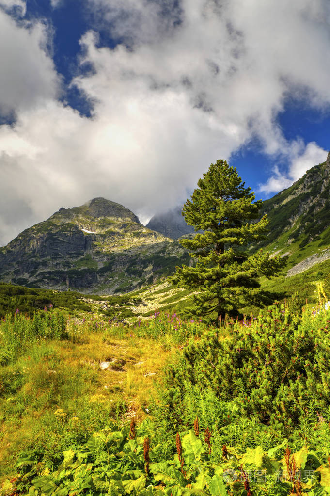 美丽的风景在高山