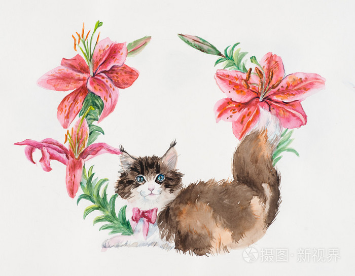 百合花的小猫 猫在花圆照片 正版商用图片08euoi 摄图新视界 百合花的小猫 猫在花圆照片 正版商用图片08euoi 摄图新视界