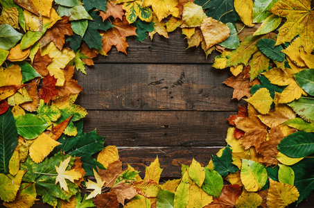 秋季黄红绿叶花圈在深褐色的谷仓木板的背景。水平明信片模板。用于复制文本字体的空白空间