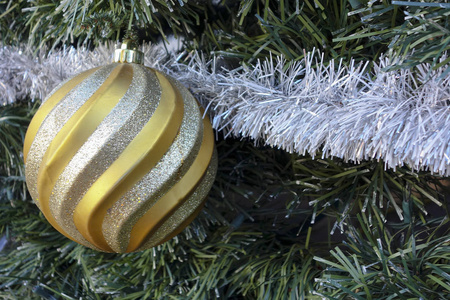 金色的曲折圣诞摆设与雪条纹在毛皮树上