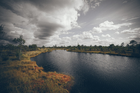 沼泽湖泊和行人路的视图。复古木纹电影来看