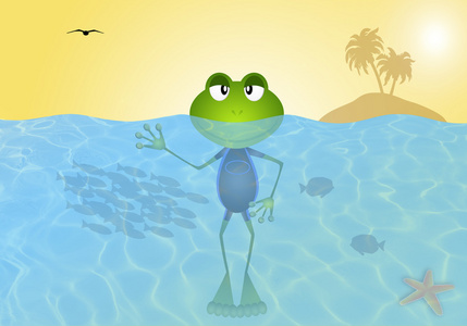 在海水中夏季的青蛙