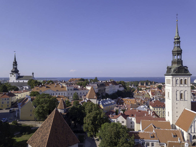 景区夏季空中塔林，爱沙尼亚老镇的全景图