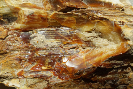 木蛋白石矿物质地作为良好的自然背景