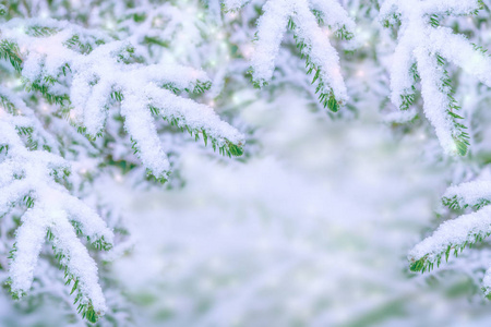 冰冻的冬季森林与雪覆盖了树