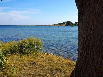 典型的美丽的自然丹麦海岸线海滩景观在夏季 Fyn 菲英岛丹麦