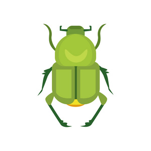 昆虫平面式矢量设计图标。自然甲虫卡通插画