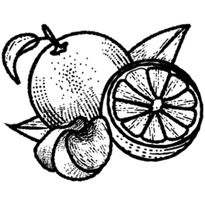 半剪柠檬描绘水果图标
