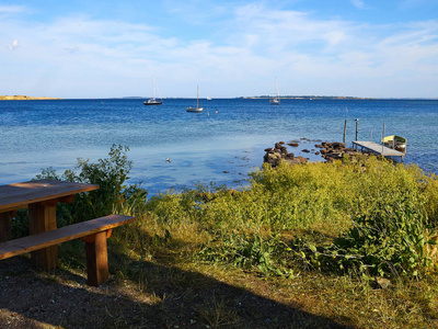 典型的美丽的自然丹麦海岸线海滩景观在夏季 Fyn 菲英岛丹麦