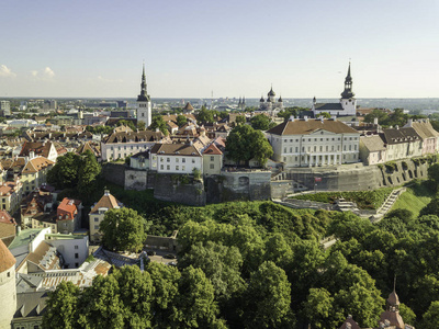 景区夏季空中塔林，爱沙尼亚老镇的全景图