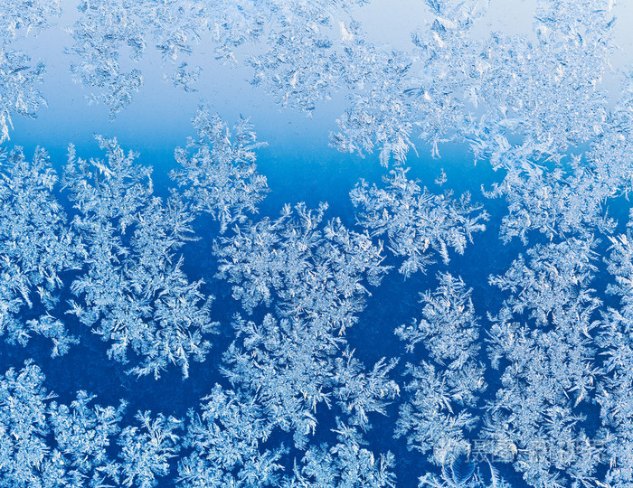 在蓝色的冬季日出时窗户玻璃上的雪花