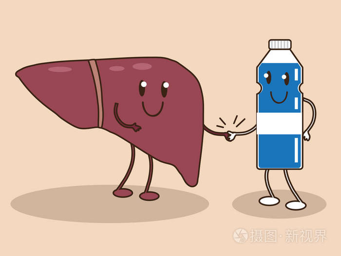 肝脏和水同意健康