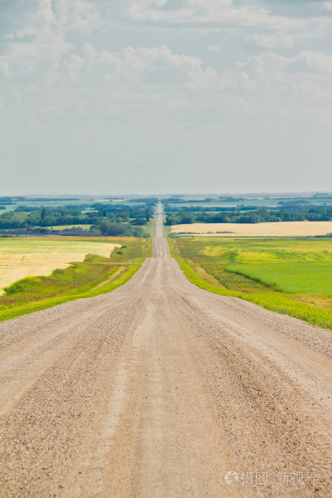 一条土路直奔地平线在加拿大萨斯喀彻温省的大平原
