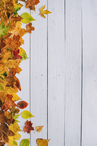 五颜六色的秋干树叶边框框上白色彩绘质朴的谷仓木空白背景。用于复制文本刻字的空白空间。垂直明信片模板