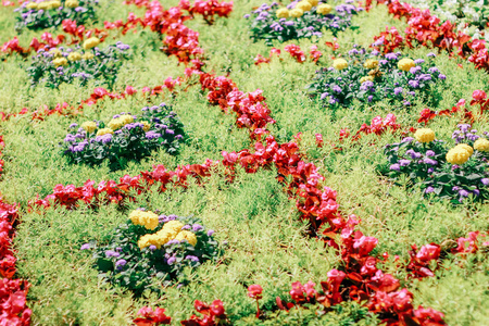 花卉展览, 自然背景