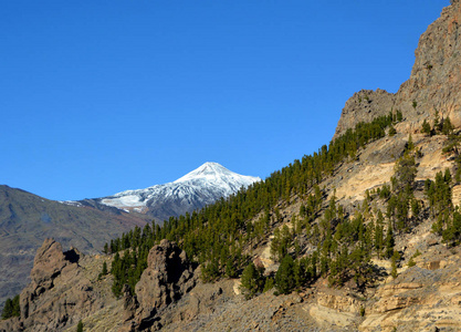 风景从国家公园 Teide, 特内里费岛, 加那利群岛, 西班牙