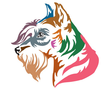 彩色装饰肖像在狗的缩影纳瑞, 矢量插图不同的颜色隔离在白色背景。设计和纹身图像